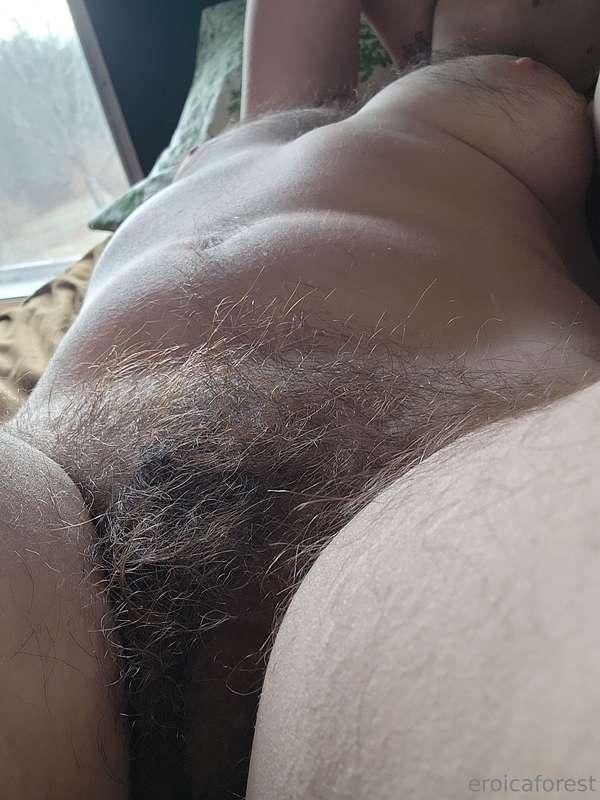 eroicaforest main image