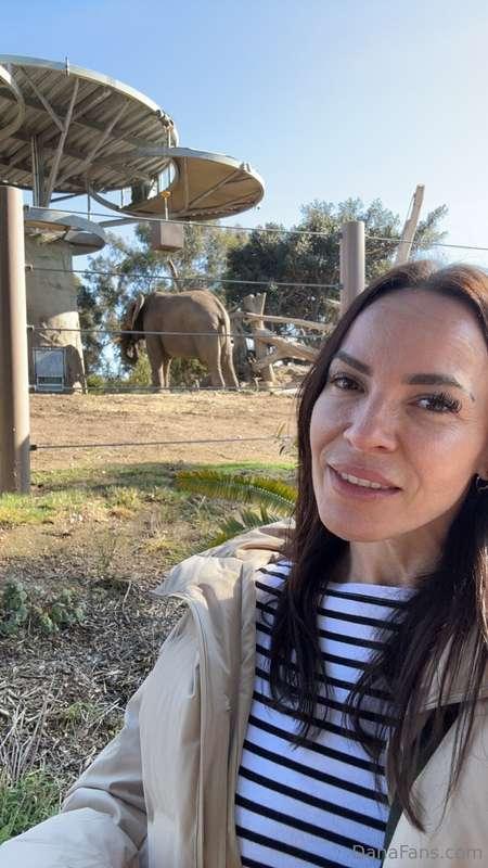 Wish you would've been with me on a little zoo date 😌