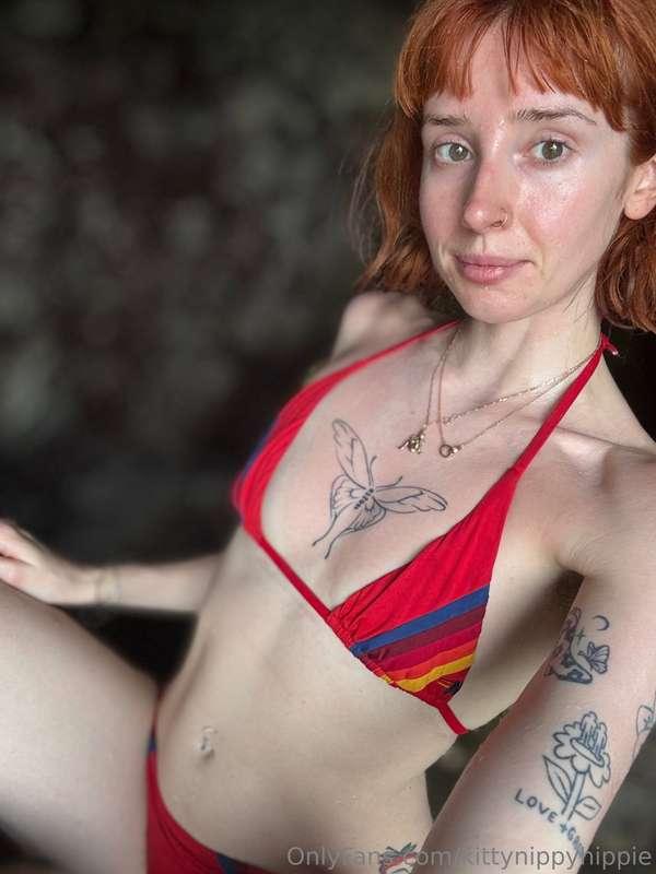 kittynippyhippie image #0