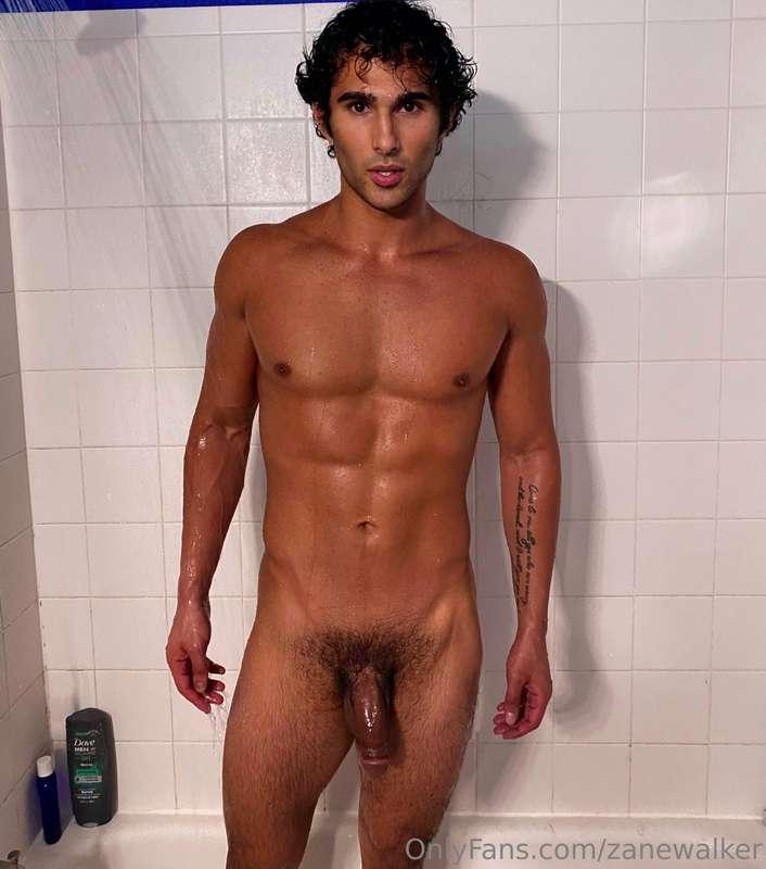zanewalker image #0