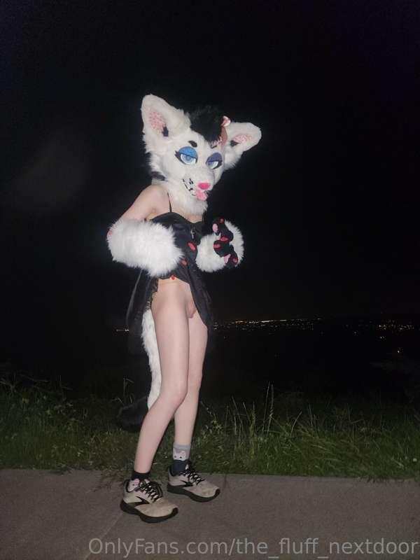 the_fluff_nextdoor image #3