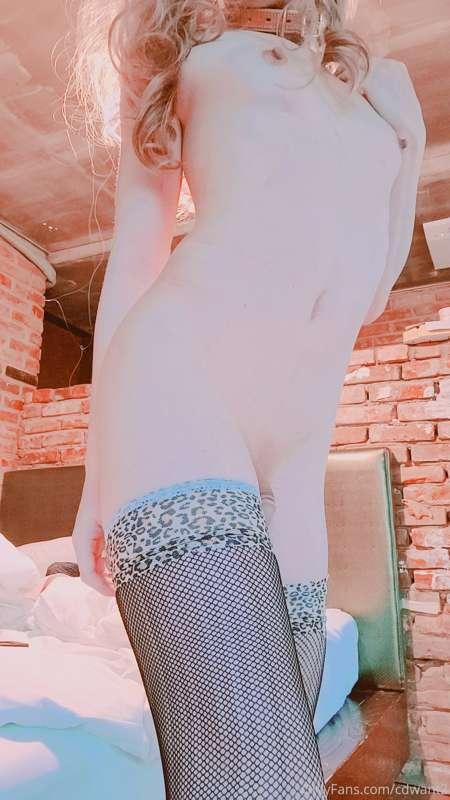 cdwant2 image #8