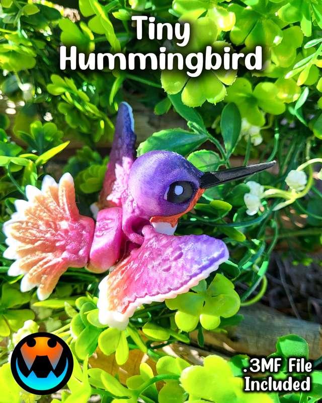 Tiny Hummingbird!