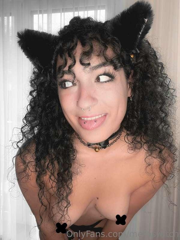 meroswitch image #0