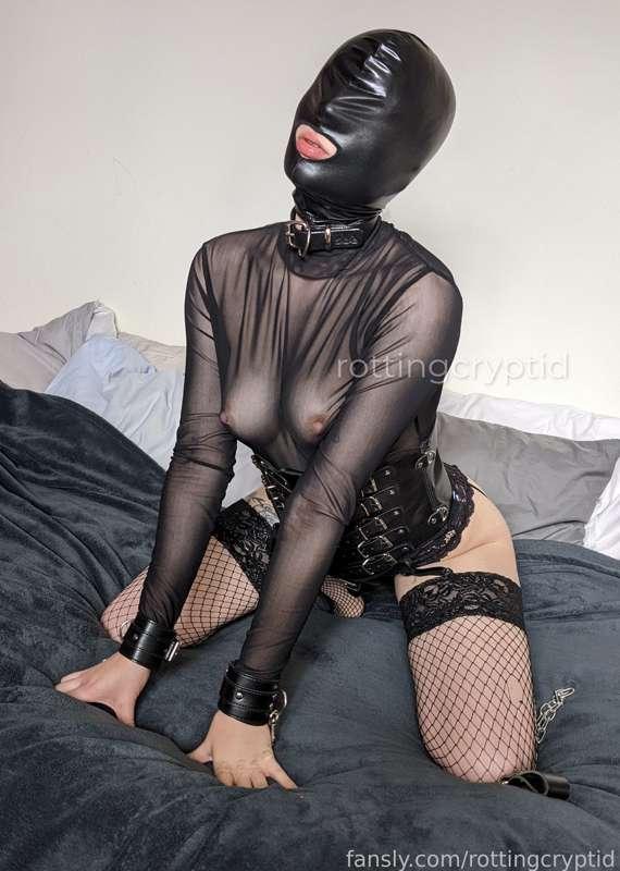 rottingcryptid image #1