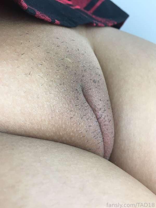 tad18 image #1