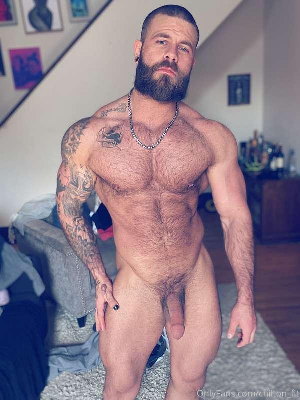 chilton_fit main image