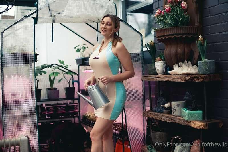 wolfofthewild image #4