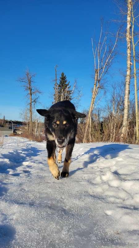 only-beer-fans image #2