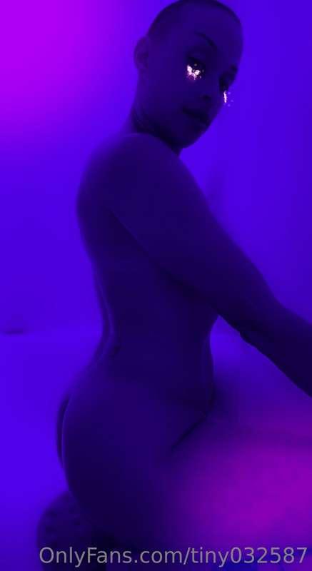 🦋🦋🦋