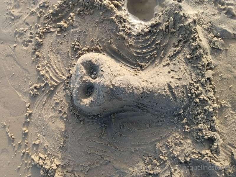 Sand sculptures we ran across