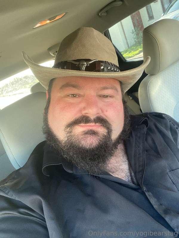 yogibearstag image #0