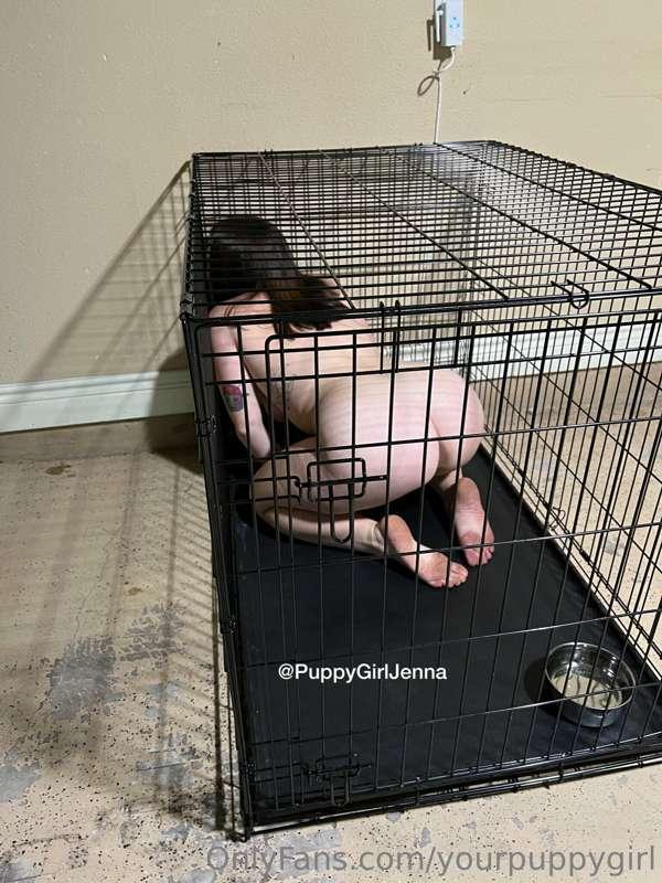 yourpuppygirl image #2