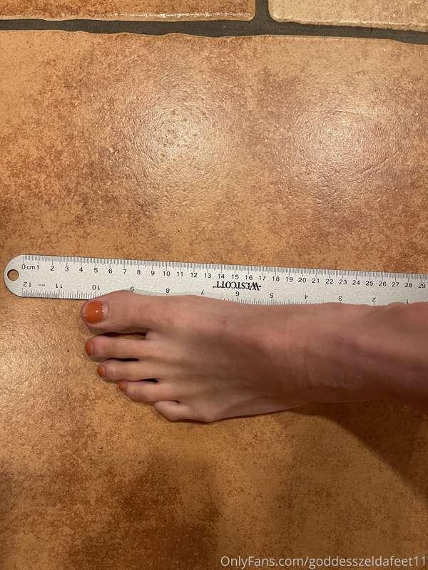 goddesszeldafeet11 image #2