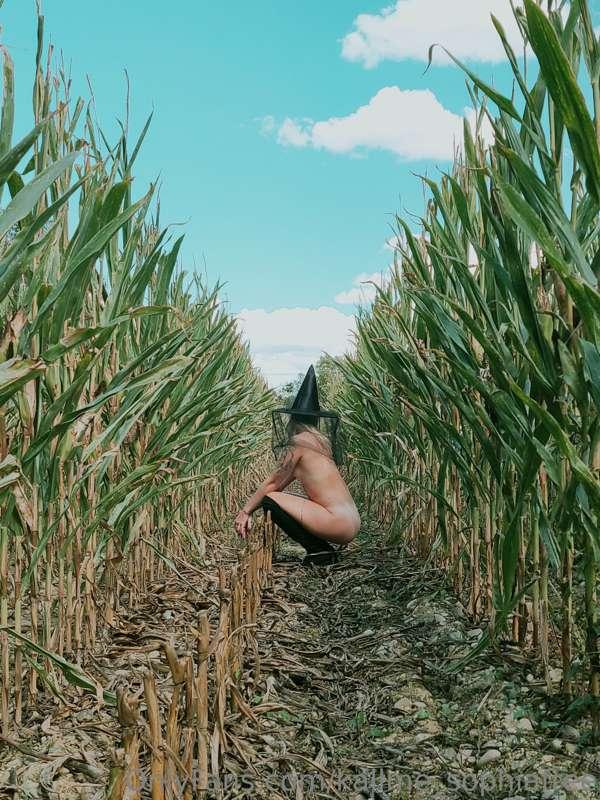 A witch that is fully naked for you!!! That is my favorite k..
