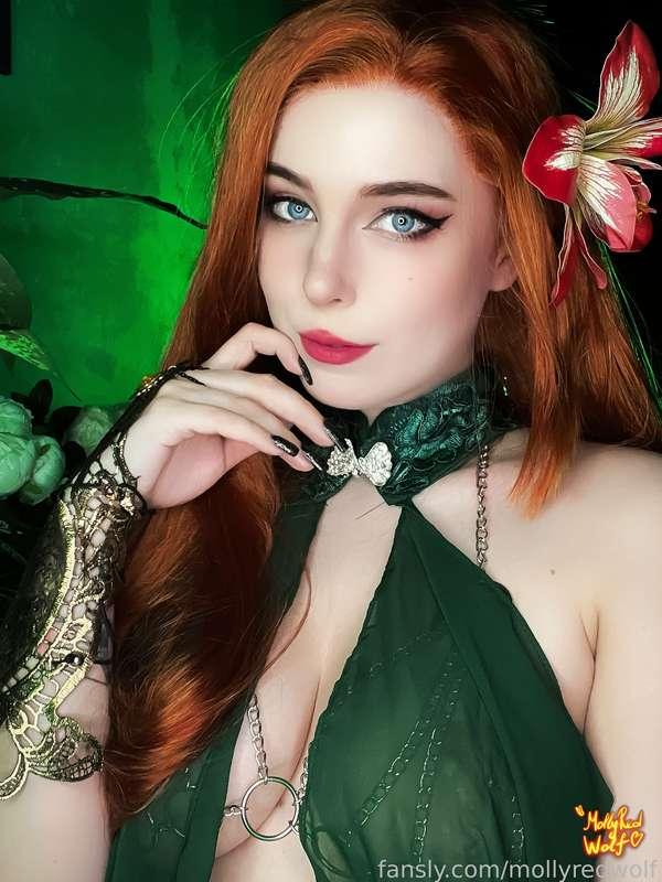 mollyredwolf image #1