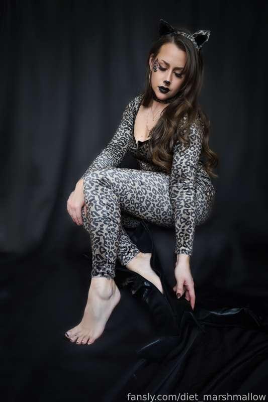 Just let me get this other boot off…

#catears #costume #cosplay #jumpsuit #makeup #lipstick #brunette #longhair #feet #footfetish #onoff #boots #leather #toes #soles #arches #pedicure #frenchpedicure #pinksoles #softsoles 