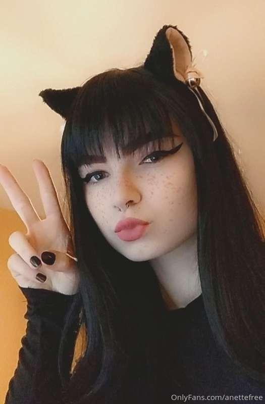 cat earsss 🐱