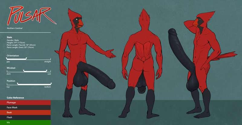 Pulsar Ref Sheet for 2022
