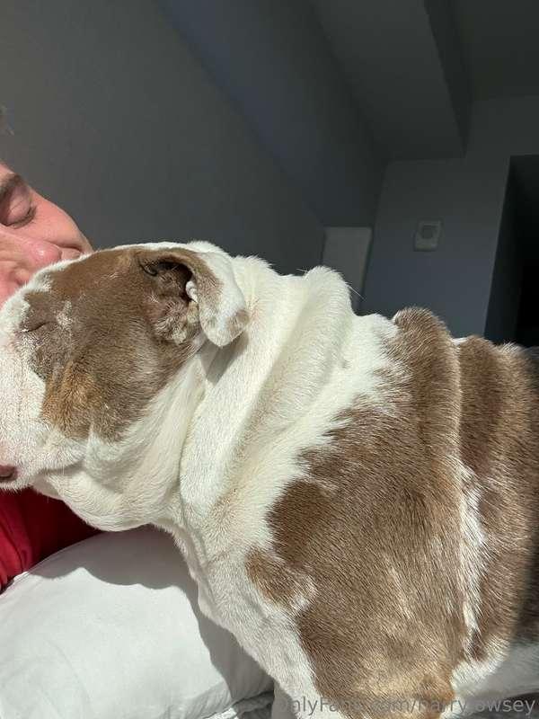 harryjowsey image #1