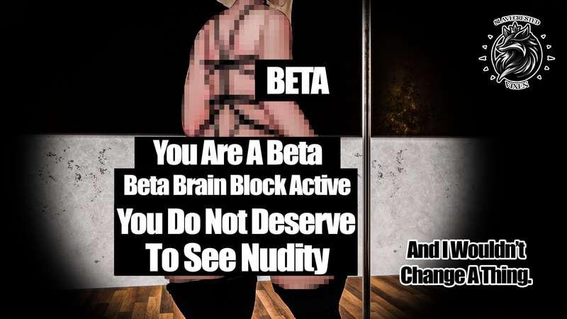 slavecrestedvixen image #18