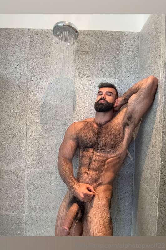 alphatopwolf22 image #1