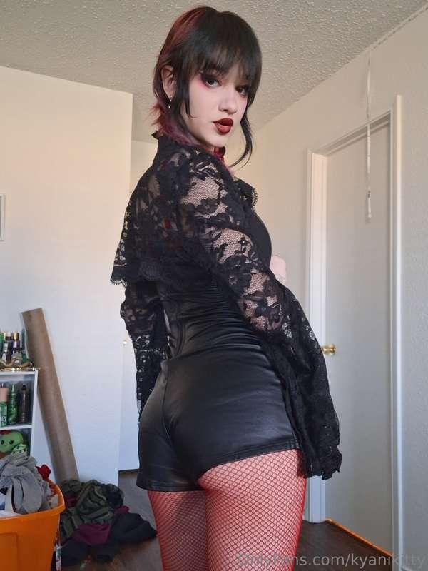 kyanikitty image #0