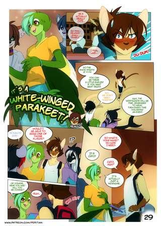 Cats Love Water page 29+Rewards