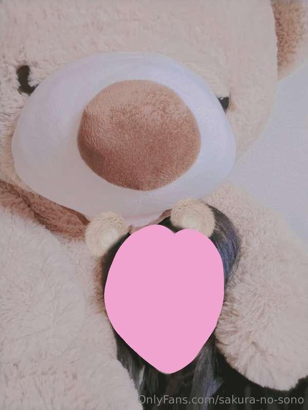 苑乃ちゃんはお仕事なので、 🧸さんと一緒にいます… (桜乃)