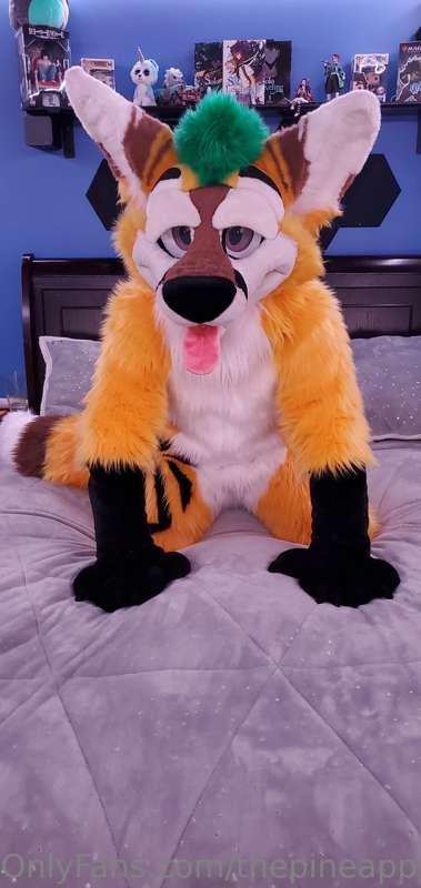 thepineapplefox image #8