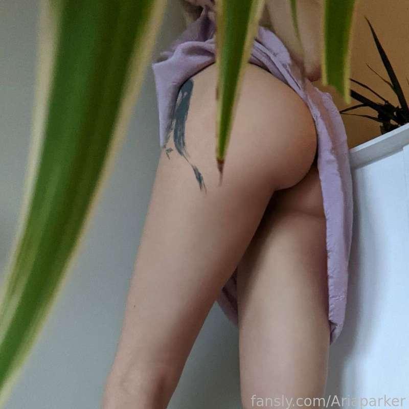 ariar0e image #2