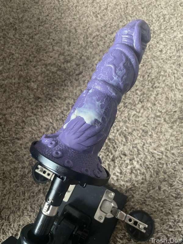 Creamed 

#sizequeen #gape #pussy #gothgirl #taboo #irl #baddragon #uwu #tattoo #blueeyes #buttslut #fyp #little #vtuber #lewdtuber #fuckmachine #lovense 