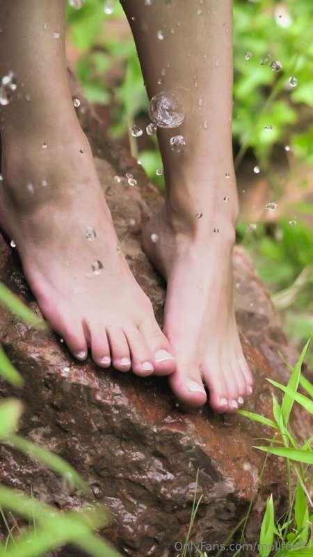 Wet little feets

Patitas mojaditas