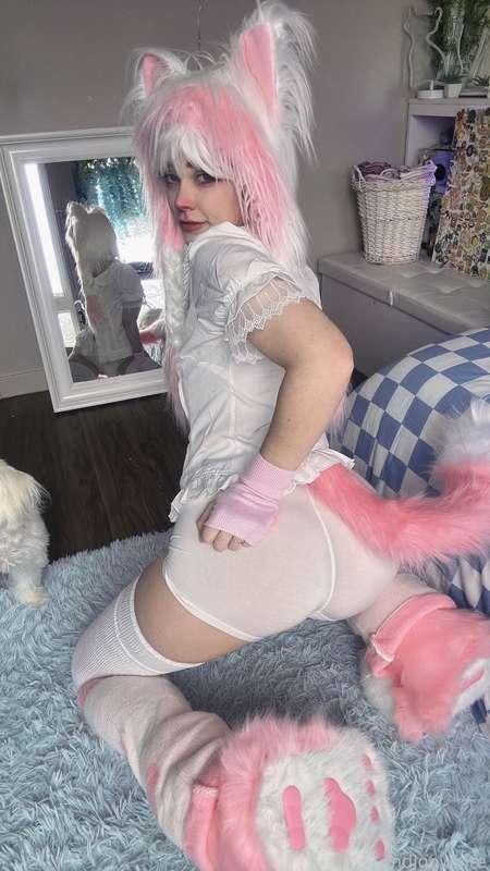 indigowhite image #126