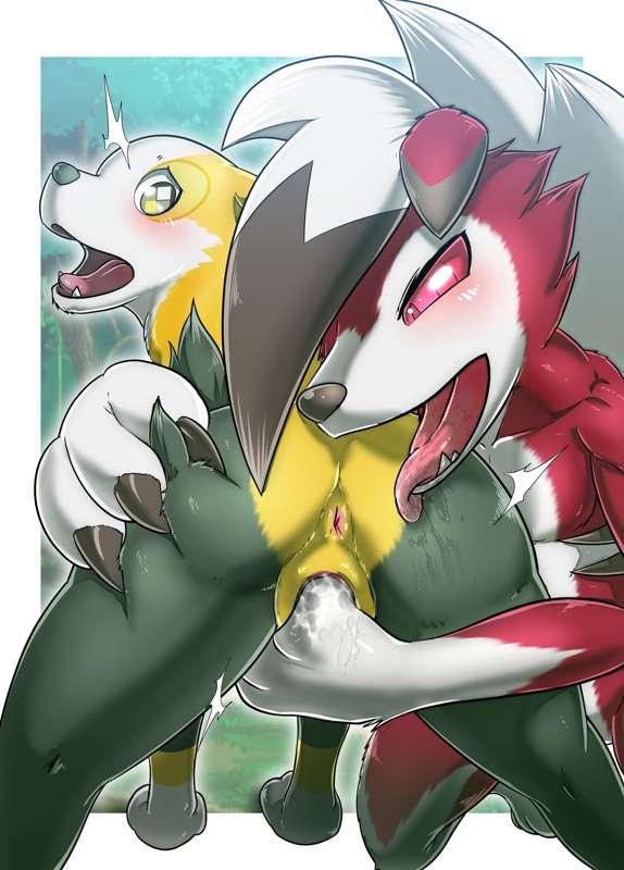 Lycanroc and Boltund