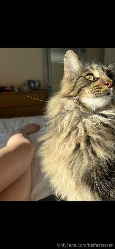 My flouffy, you probably wonder why I share so much of my li..