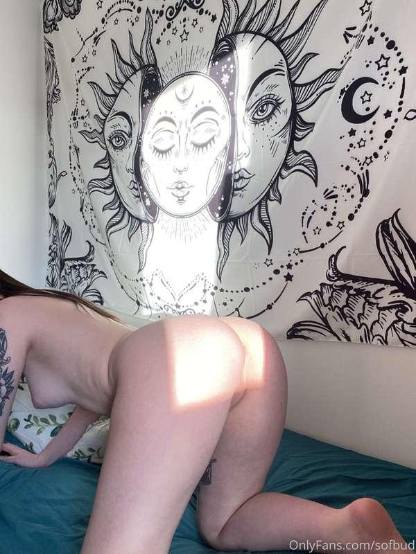 sofbud image #0