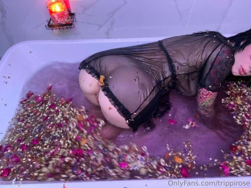 trippirose image #25