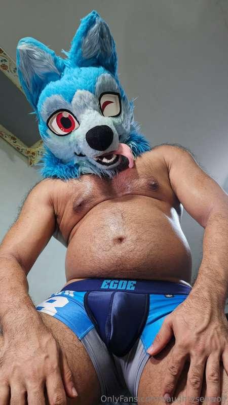 naughtyseawolf image #5