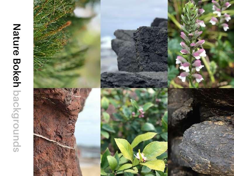 📦 Nature Bokeh Background Pack