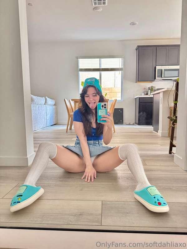 softdahliaxo image #0