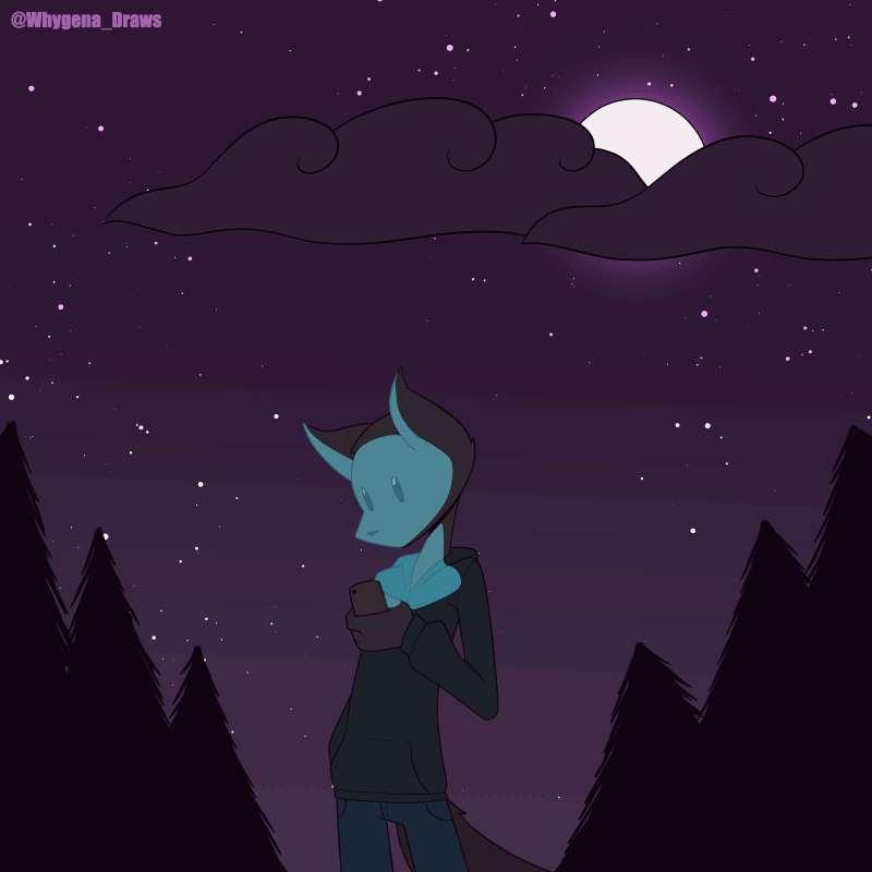 Moonlit night