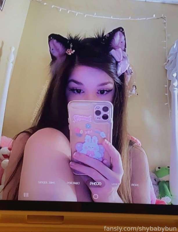 shybabybun image #0