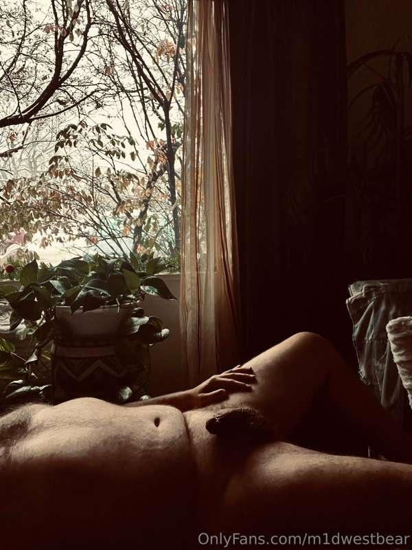 m1dwestbear image #10