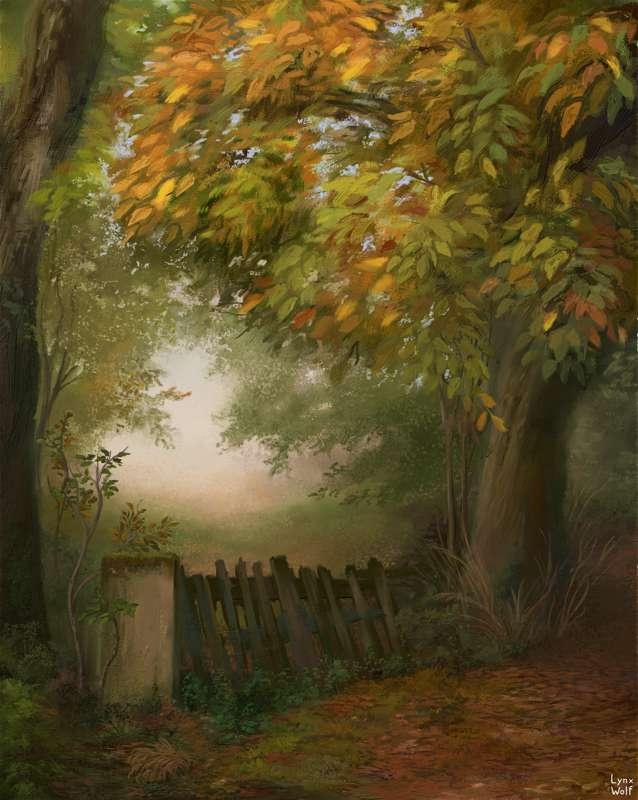 Foggy Forest