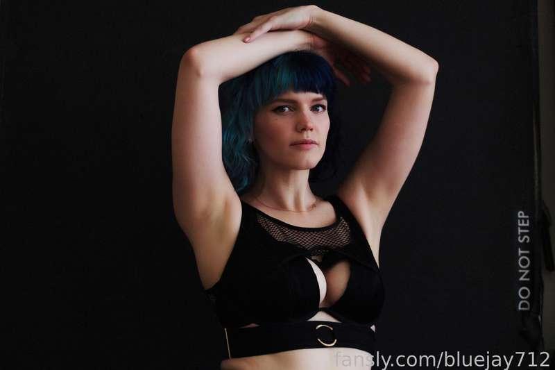 bluejay712 image #2