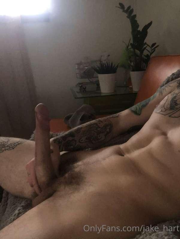 ‼️‼️