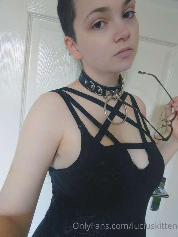 luciuskitten image #0