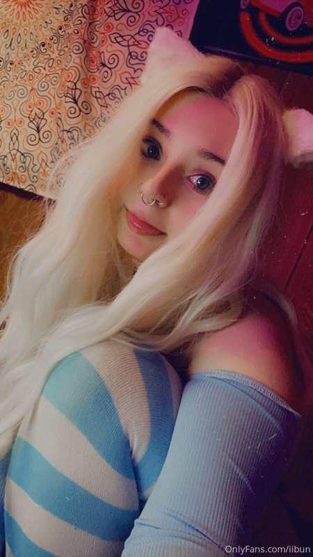 I’m the cutest kitten