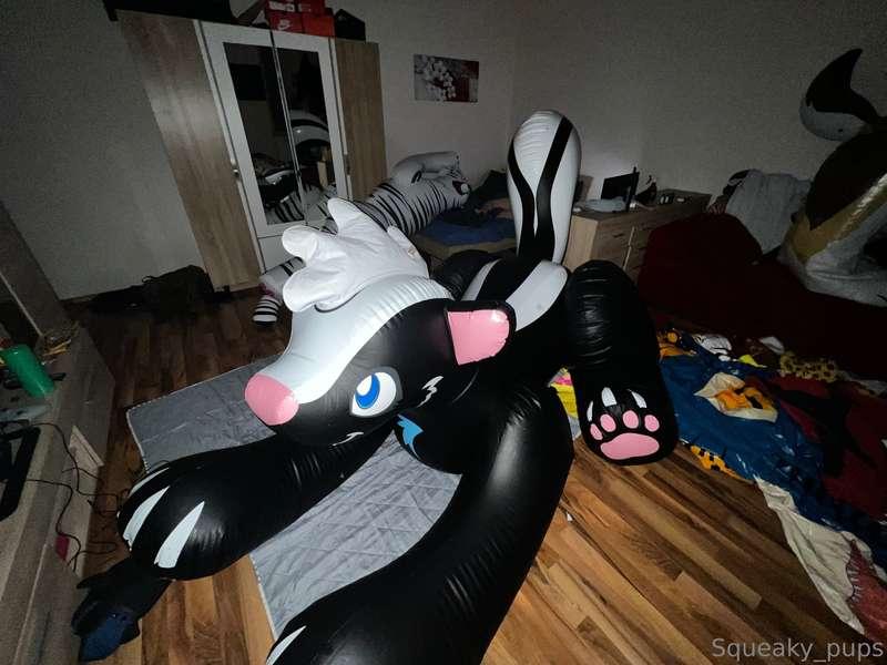 🤔 what to do with these cute toys I wonder hehe ❤️